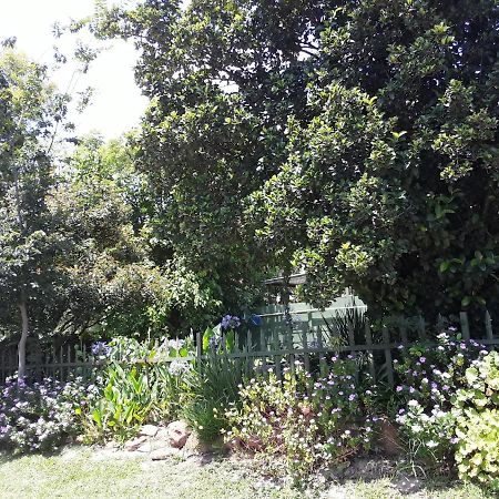 Boer En Brit Self Catering Accommodation Guesthouse Ladysmith Exteriör bild