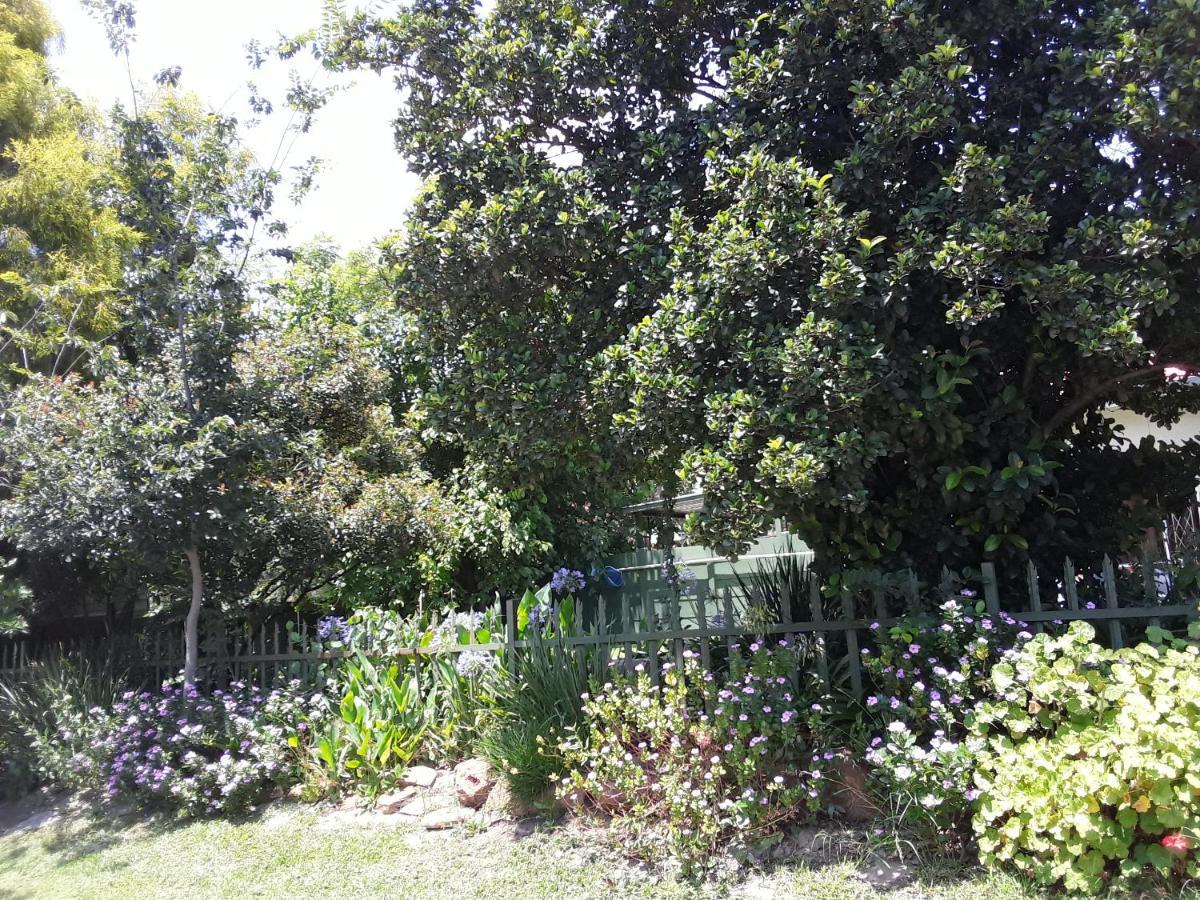 Boer En Brit Self Catering Accommodation Guesthouse Ladysmith Exteriör bild